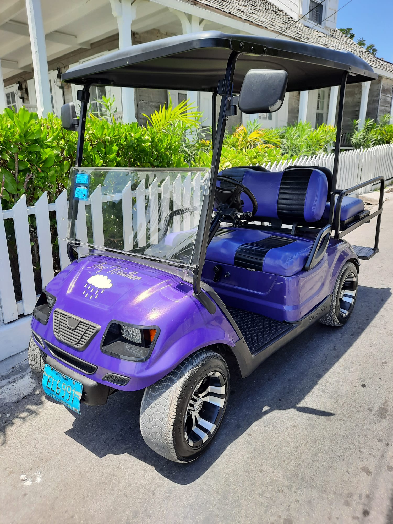 Standard Golf Carts